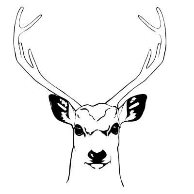 Stag Head (illustrative outline)